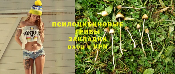 мяу мяу мука Алексеевка