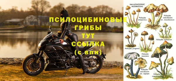 мяу мяу мука Алексеевка