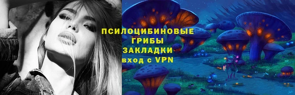 мяу мяу мука Алексеевка