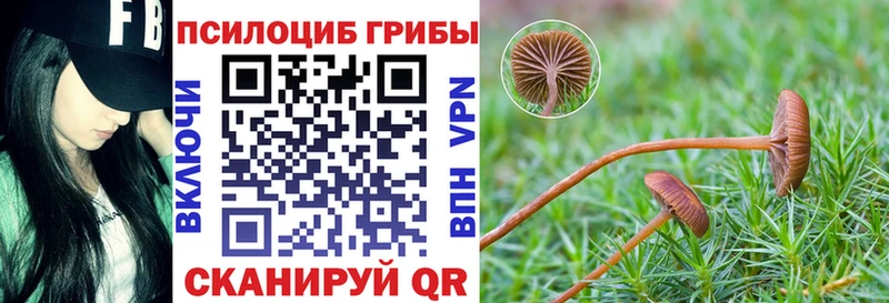 наркошоп  Енисейск  мориарти Telegram  Псилоцибиновые грибы прущие грибы 